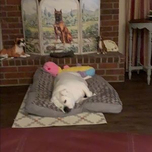 Meet your Posher, Judy